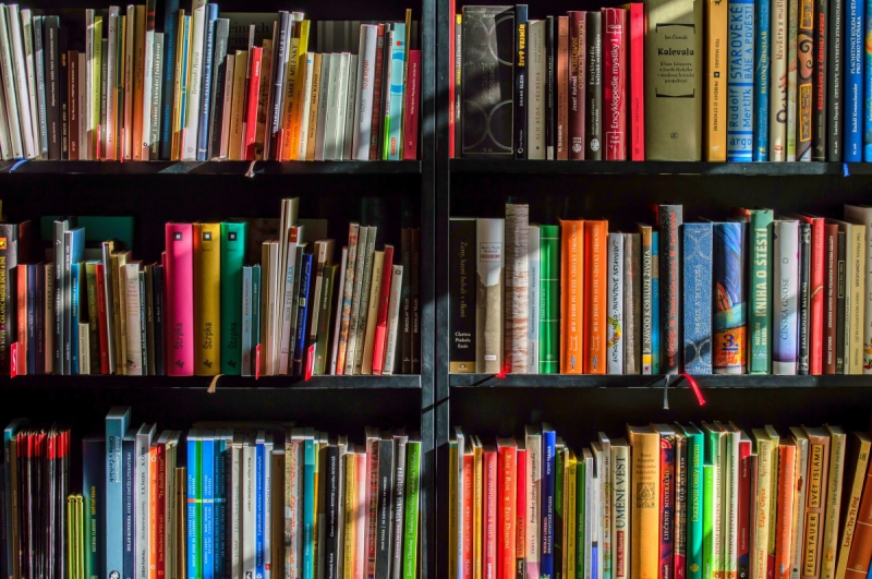 vente-ST ETIENNE DE TINEE-min_books_bookstore_book_reading_shop_writer_sale_books_read-822866