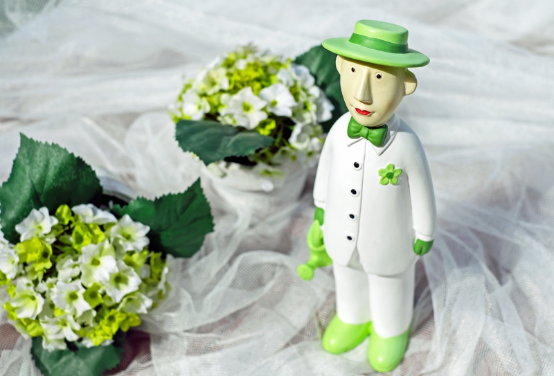 vente-ST ETIENNE DE TINEE-min_man-person-flower-green-toy-fig-546529-pxhere.com